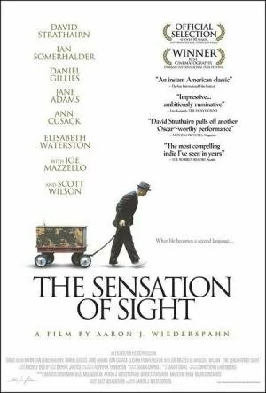 Смотреть онлайн Ощущение видения / The Sensation of Sight (2006)